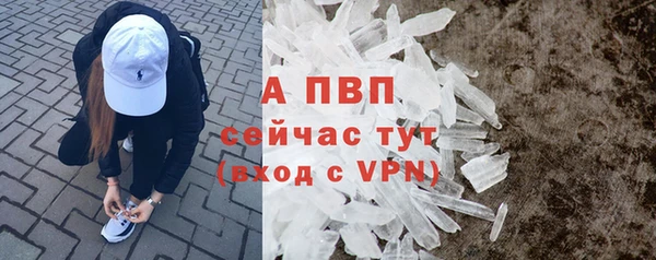 хмурый Богданович