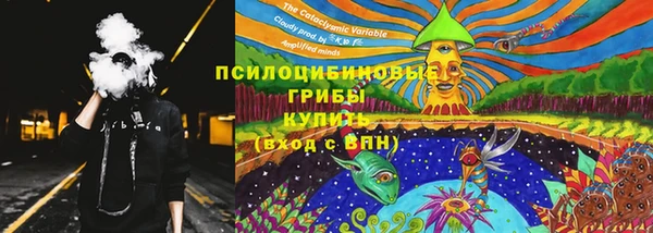 ALPHA PVP Богородск